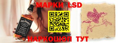 бошки Сланцы