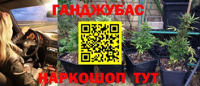 бошки Сланцы