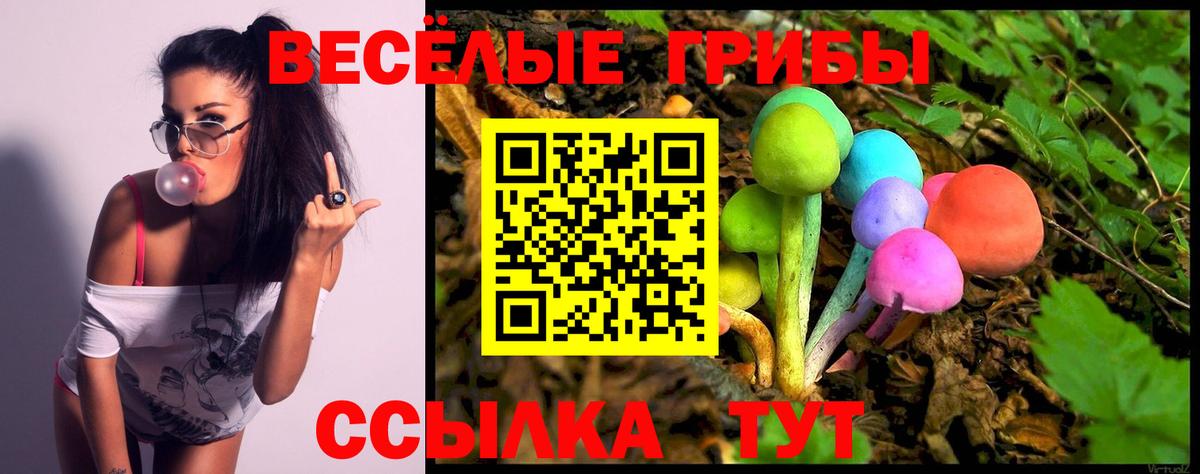 Павловский Посад  Псилоцибиновые грибы мухоморы  Вход с VPN 